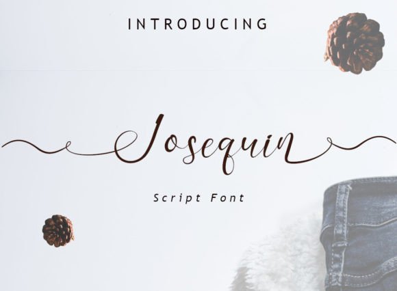 Josequin: The Handwritten Script Font for Modern Brands