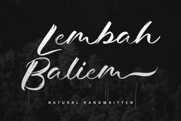 Lembah Baliem: A Bold Script Handwritten Font for Branding