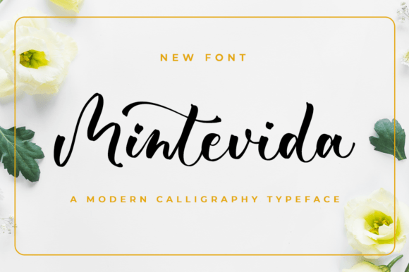 Mintevida Font Review for Modern Campaigns