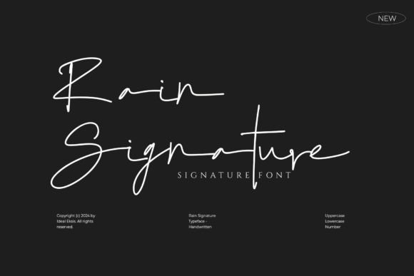 Rain Signature Font for Modern Web Design